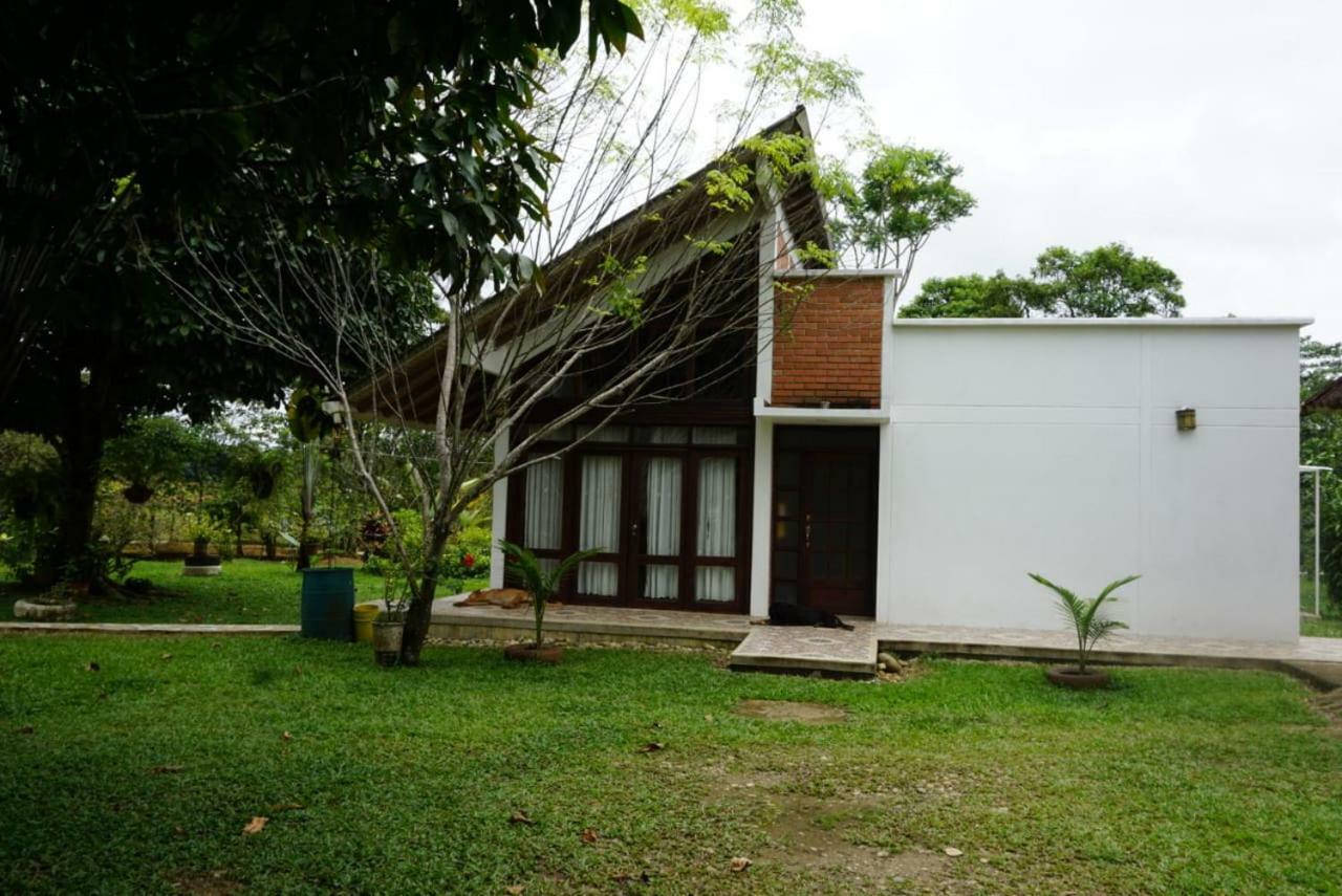 Hostal Suna Vito Puerto Asís エクステリア 写真