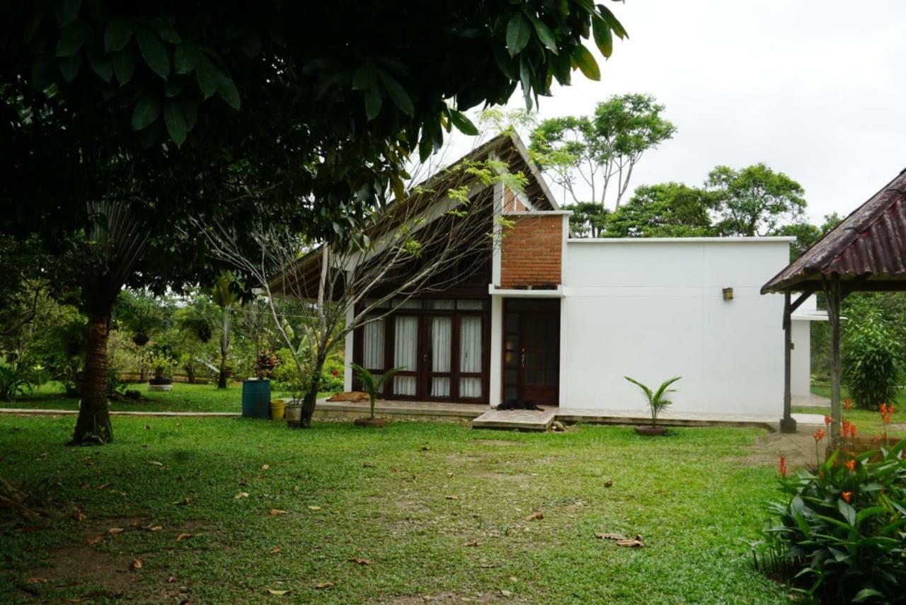 Hostal Suna Vito Puerto Asís エクステリア 写真